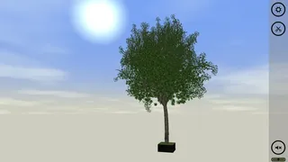 Скриншот 6 к игре Bonsai