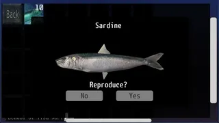 Скриншот 8 к игре Ace of Seafood