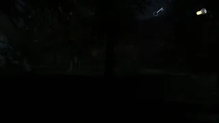 Скриншот 2 к игре The Secret of Pineview Forest