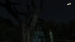 Скриншот 5 к игре The Secret of Pineview Forest
