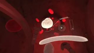 Скриншот 1 к игре The Body VR: Journey Inside a Cell