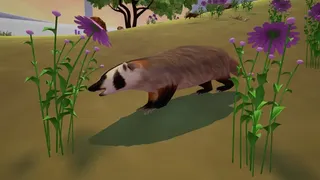 Скриншот 8 к игре Tyto Ecology