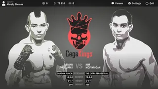 Скриншот 3 к игре Ultimate Fight Manager 2016