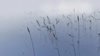 Скриншот 7 к игре Storm VR