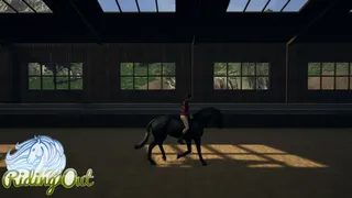 Скриншот 4 к игре Riding Out
