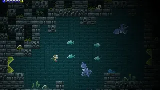 Скриншот 2 к игре Adventure Apes and the Mayan Mystery
