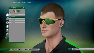 Скриншот 8 к игре Don Bradman Cricket 17