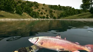 Скриншот 1 к игре Ultimate Fishing Simulator