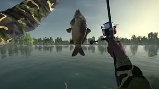 Скриншот 8 к игре Ultimate Fishing Simulator