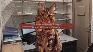 Скриншот 4 к игре Cat President ~A More Purrfect Union~