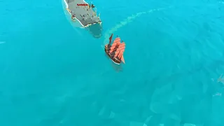 Скриншот 7 к игре Pirates of the Polygon Sea