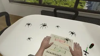 Скриншот 3 к игре Arachnophobia