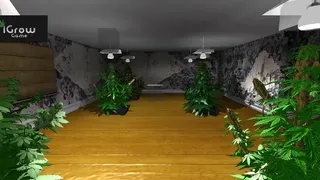 Скриншот 3 к игре iGrow Game