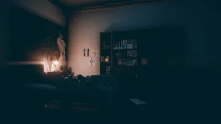 Скриншот 4 к игре The Last Look