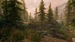 Скриншот 7 к игре The Elder Scrolls V: Skyrim Special Edition