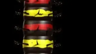 Скриншот 6 к игре Ant Queen