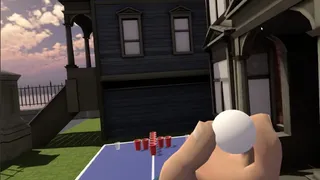 Скриншот 5 к игре VeeR Pong