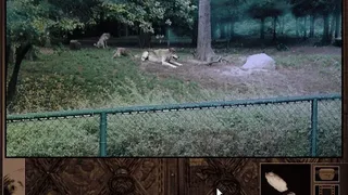 Скриншот 1 к игре Gabriel Knight 2: The Beast Within