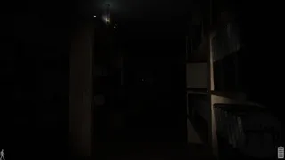 Скриншот 7 к игре In The Shadow Of The Truth