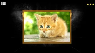 Скриншот 1 к игре Kitty Cat: Jigsaw Puzzles