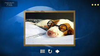 Скриншот 2 к игре Puppy Dog: Jigsaw Puzzles
