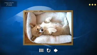 Скриншот 8 к игре Puppy Dog: Jigsaw Puzzles
