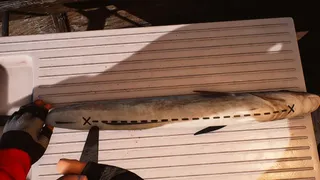 Скриншот 4 к игре Fishing: Barents Sea