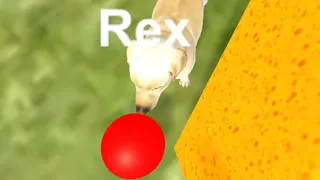 Скриншот 1 к игре My Own Pet