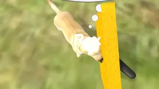 Скриншот 3 к игре My Own Pet