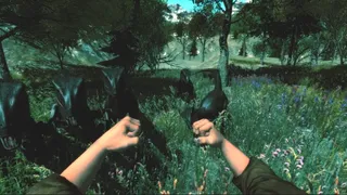 Скриншот 2 к игре Dinosaur Forest