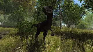Скриншот 3 к игре Dinosaur Forest