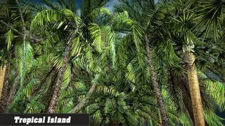 Скриншот 4 к игре Island Simulator 2016