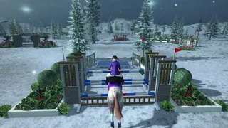 Скриншот 4 к игре Riding Club Championships
