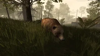 Скриншот 8 к игре PostCollapse