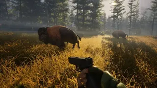 Скриншот 2 к игре BIGFOOT