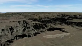 Скриншот 3 к игре Birdtual Reality