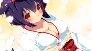 Скриншот 1 к игре Sakura Shrine Girls