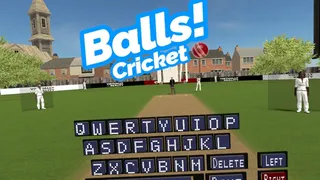 Скриншот 1 к игре Balls! Virtual Reality Cricket