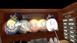 Скриншот 2 к игре Balls! Virtual Reality Cricket