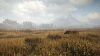 Скриншот 2 к игре theHunter: Call of the Wild