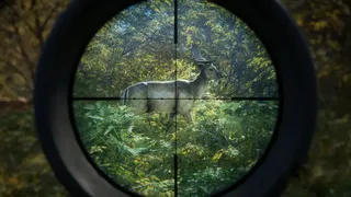Скриншот 3 к игре theHunter: Call of the Wild
