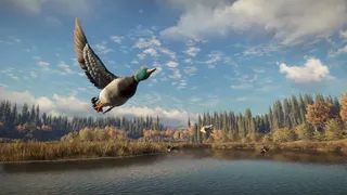 Скриншот 4 к игре theHunter: Call of the Wild
