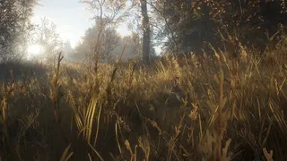 Скриншот 7 к игре theHunter: Call of the Wild
