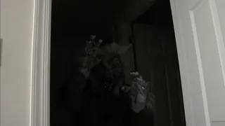 Скриншот 5 к игре Fright Light