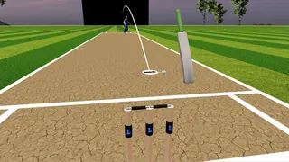 Скриншот 5 к игре JUST BAT (VR CRICKET)