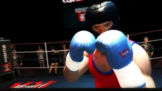 Скриншот 2 к игре Boxing Saga