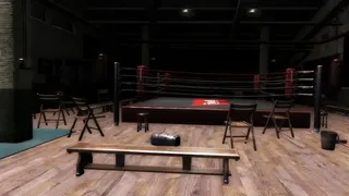Скриншот 3 к игре Boxing Saga