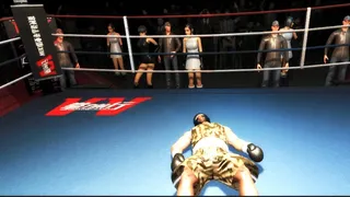 Скриншот 4 к игре Boxing Saga