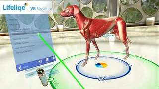 Скриншот 2 к игре Lifeliqe VR Museum