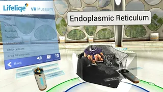Скриншот 4 к игре Lifeliqe VR Museum